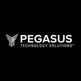 Pegasus Technology Solutions - IT Services & Computer Repair in Frisco
