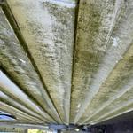 Packard Power Washing - photo 1