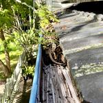 Shine Bright Property Maintenance - photo 1