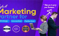 Edifying Voyages - Digital Marketing