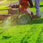 CUSTODIA HOME MANAGEMENT - photo 2