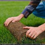 CUSTODIA HOME MANAGEMENT - photo 3