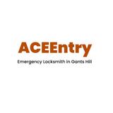 Ace Entry Locksmith Gants Hill - Keys & Locksmiths in Ilford