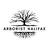 Arborist Halifax - Tree Services in Lower Sackville