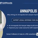 FrizWoods LLC - photo 3