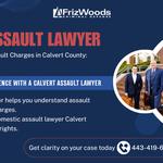 FrizWoods LLC - Criminal Defense Law Firm - photo 3
