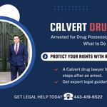 FrizWoods LLC - Criminal Defense Law Firm - photo 5