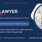 FrizWoods LLC - Criminal Defense Law Firm - photo 8