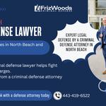 FrizWoods LLC - Criminal Defense Law Firm - photo 9