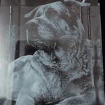 Solid Crystals - photo 2