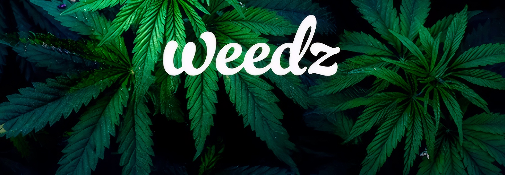 Weedz DC | Weed & Marijuana Delivery cover photo