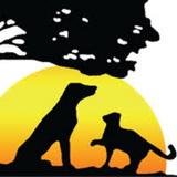 Kainer Veterinary Hospital profile photo