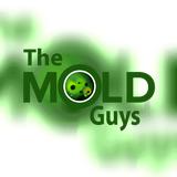 The Mold Guys profile photo