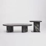 Living Shapes - photo 10