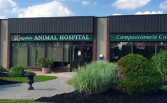 Kingsdale Animal Hospital - Animal Hospitals