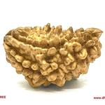 Dhanshree Gems  - photo 5