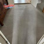 Quick Clean Carpet Care - photo 2