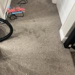 Quick Clean Carpet Care - photo 3
