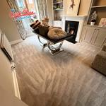 Quick Clean Carpet Care - photo 4