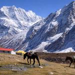 Treklanders Adventures  - photo 2