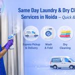 Butterflyy Laundry - photo 4