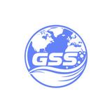 GSS Nettoyage Geneve profile photo