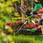 My Buddy Lawn Care LLC - photo 2