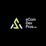 eCommerce Development Pros - Web Design & Development in Toronto