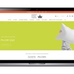 eCommerce Development Pros - photo 1