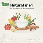 DiscoverMSG - photo 1