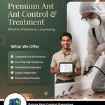 Falcon pest control Bangalore residential commerl  - photo 10