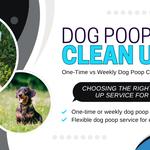 Poo Force Dog Poop Clean Up - photo 9