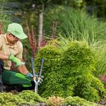 Garden More Landscaping Pty Ltd - photo 4