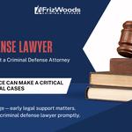 FrizWoods LLC - Criminal Defense Law Firm - photo 1