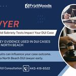 FrizWoods LLC - Criminal Defense Law Firm - photo 2