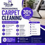 The Expert Cleaner - photo 1