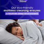 The Expert Cleaner - photo 3