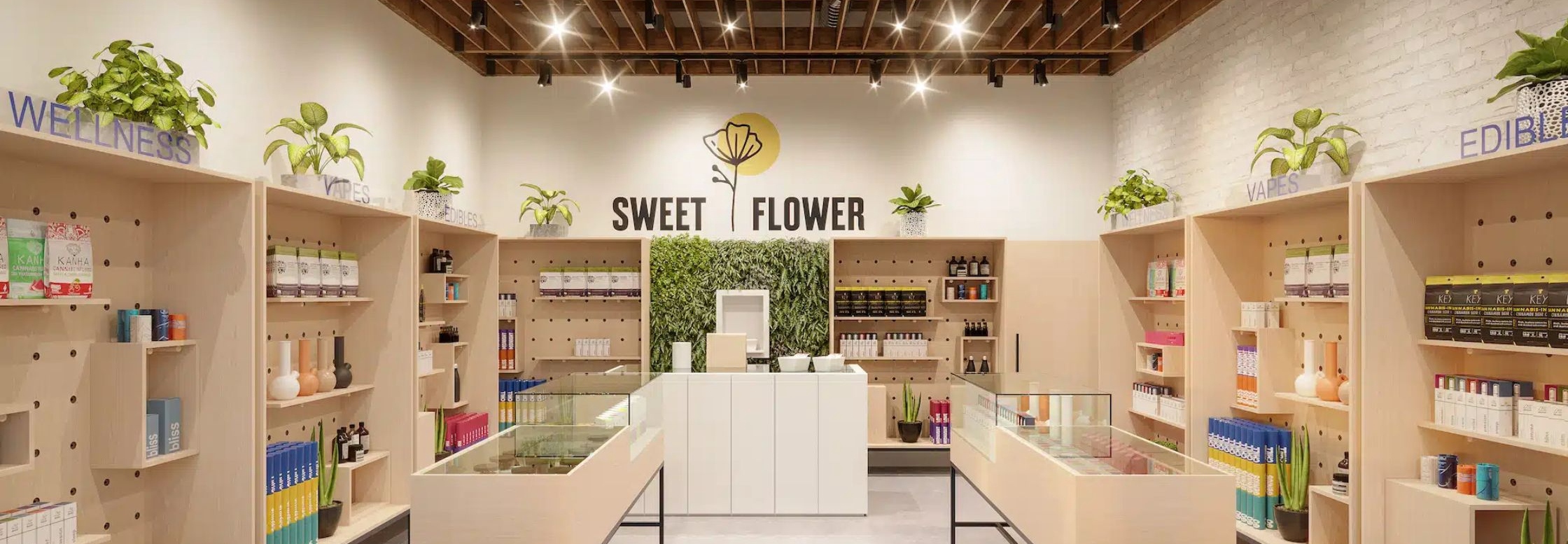 Sweet Flower cover photo
