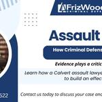 FrizWoods LLC - Criminal Defense Law Firm - photo 3