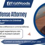 FrizWoods LLC - Criminal Defense Law Firm - photo 4
