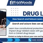 FrizWoods LLC - Criminal Defense Law Firm - photo 5