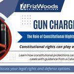 FrizWoods LLC - Criminal Defense Law Firm - photo 6