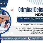 FrizWoods LLC - Criminal Defense Law Firm - photo 8