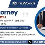 FrizWoods LLC - Criminal Defense Law Firm - photo 10