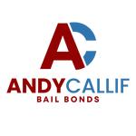 Andy Callif Bail Bonds - photo 3