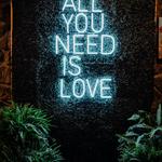 Echo Neon - photo 5