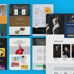 Netwexus | Website Design And Development - photo 1