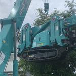 Parramatta Cranes - photo 2