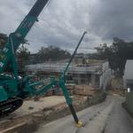 Parramatta Cranes - photo 6