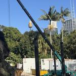 Parramatta Cranes - photo 9